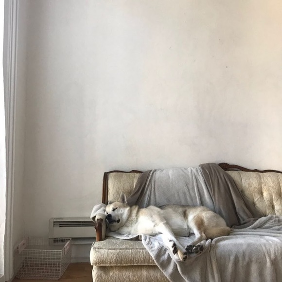 Meet your Posher, Morgan - Picture 2 of 2